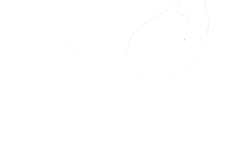 Creative Faces Australia - Professional Face Painting & Kids Entertainment Services